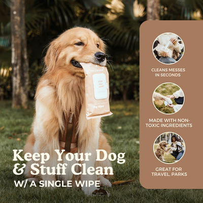 Dog Wipes for clean paws
