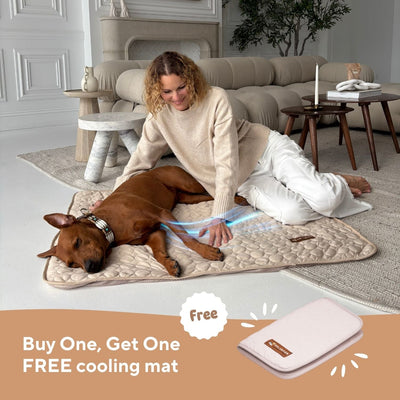 Pelsbarn Cooling Mat Bundle (B3G3)