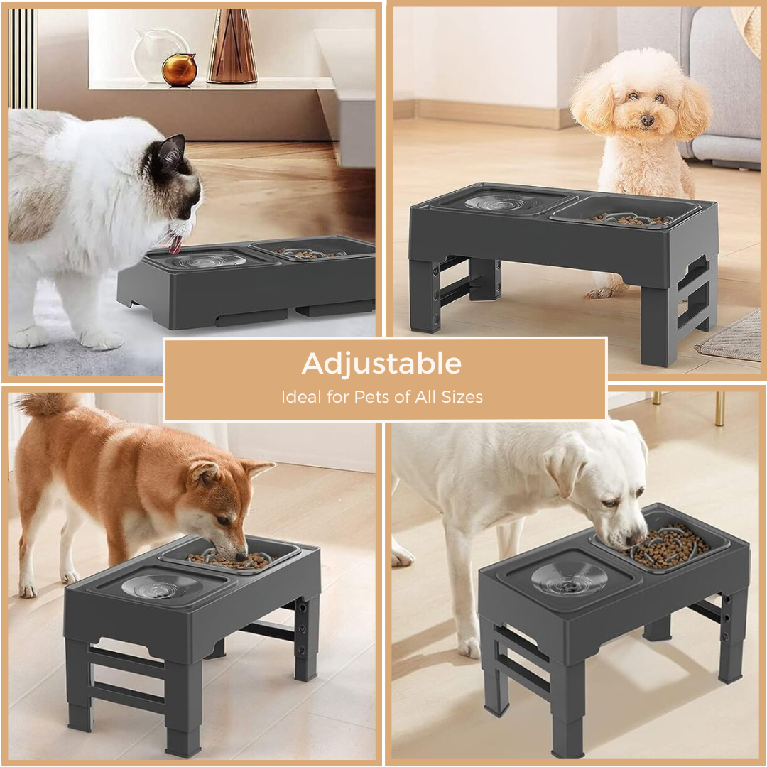 Elevated Slow Feeder with No Spill Dog Water Bowl