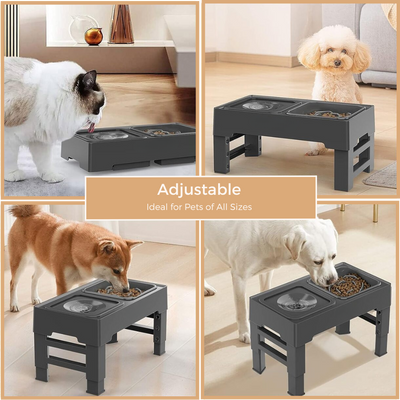 Elevated Slow Feeder with No Spill Dog Water Bowl