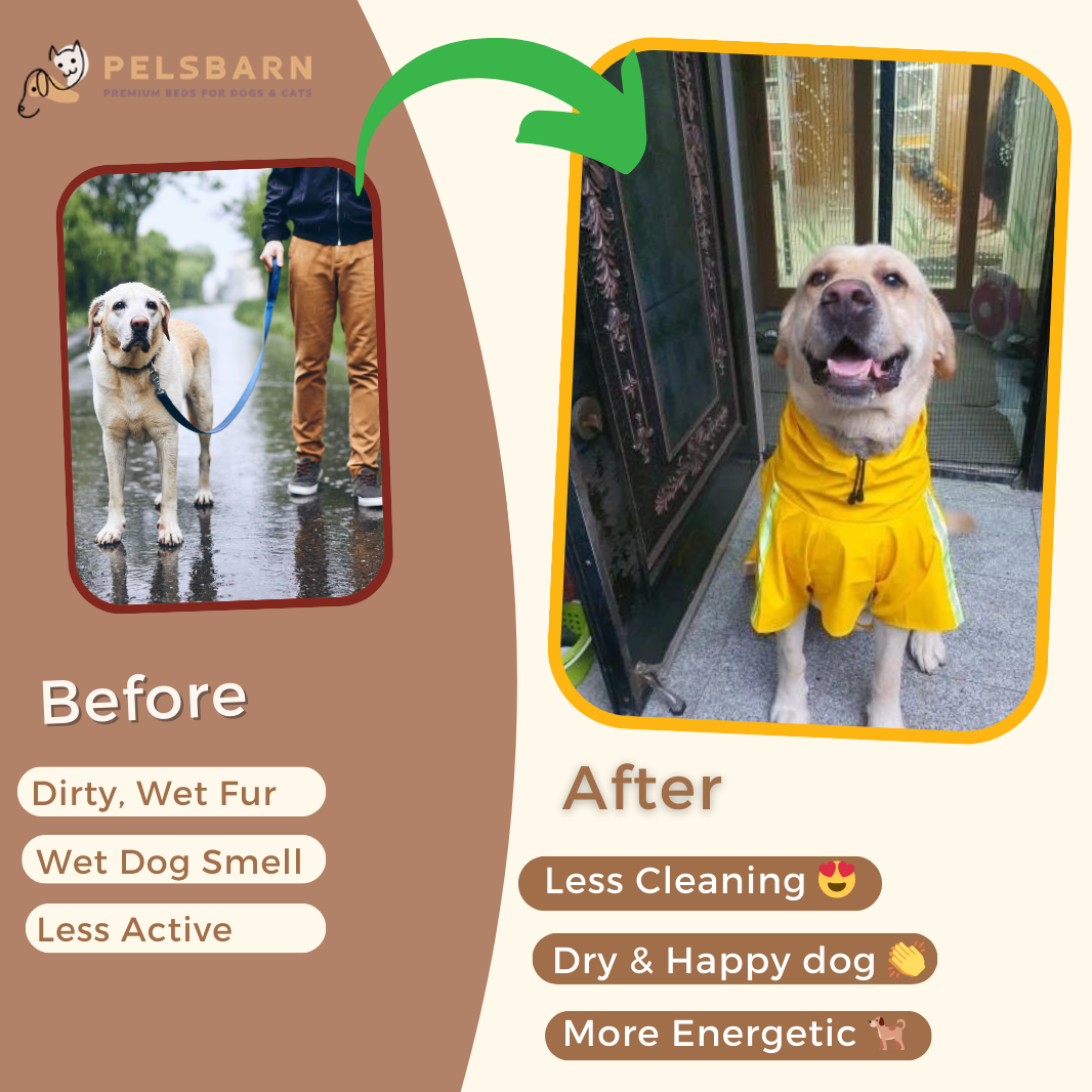 Pelsbarn Dog Raincoat