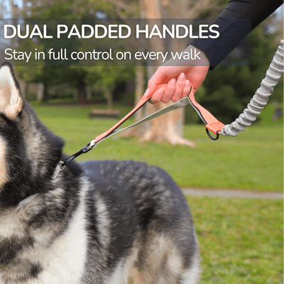 Hands Free Dog Leash