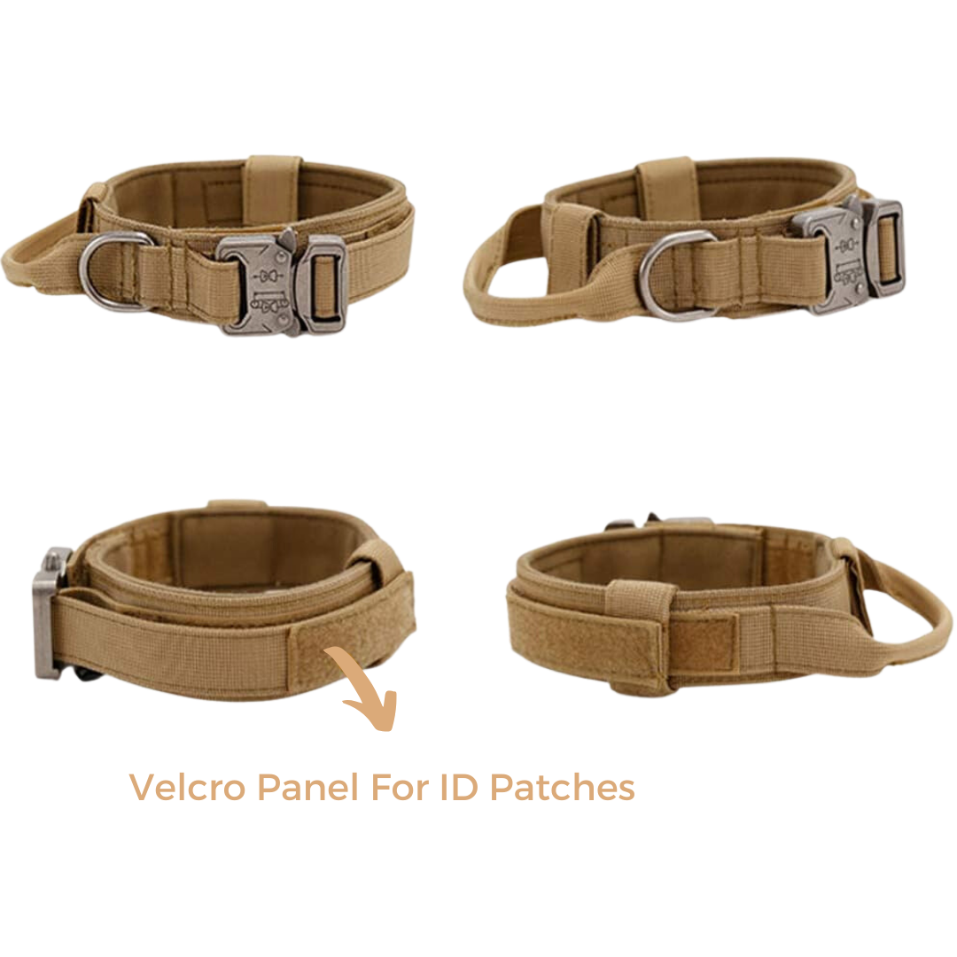 Heavy-Duty Tactical Dog Collar