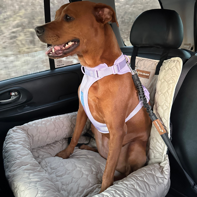 Pelsbarn Cooling Car Bed