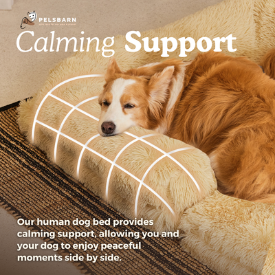 Human Companion Bed