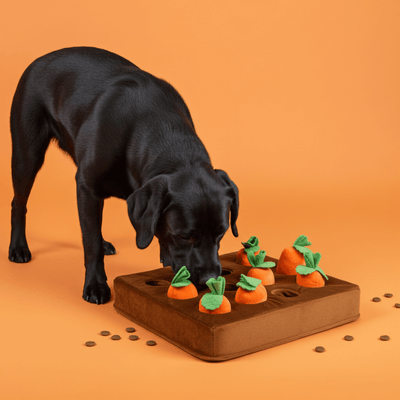 Carrot Field Snuffle Mat