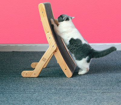 Cat Scratcher and Bed
