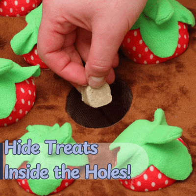 Strawberry Garden Snuffle Mat