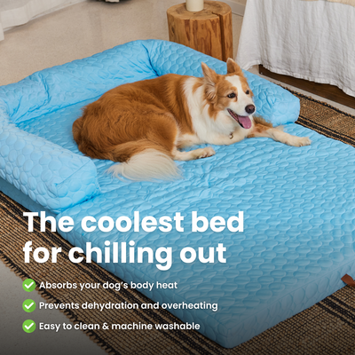 Human Size Cooling Dog Bed