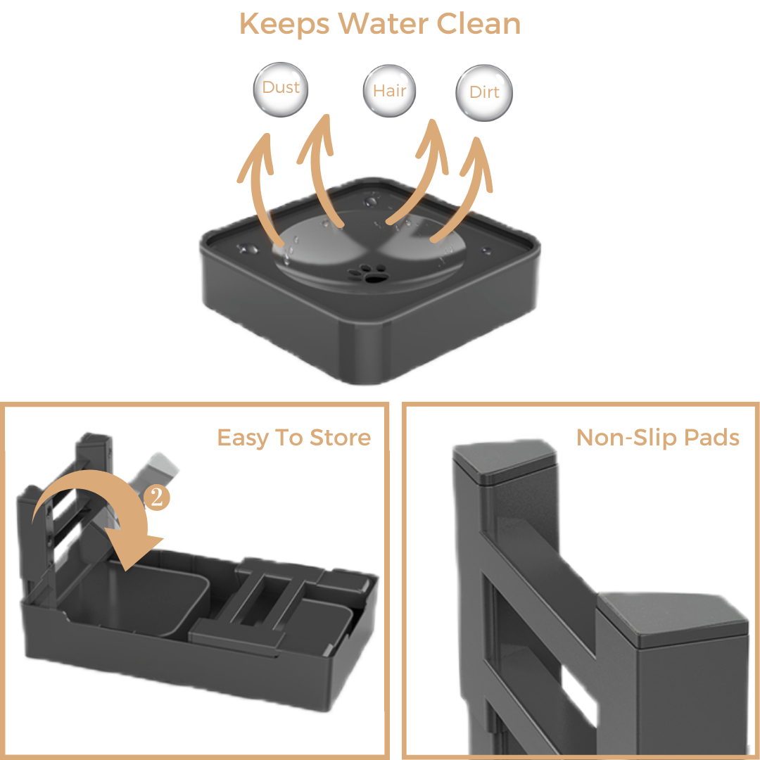 Elevated Slow Feeder with No Spill Dog Water Bowl