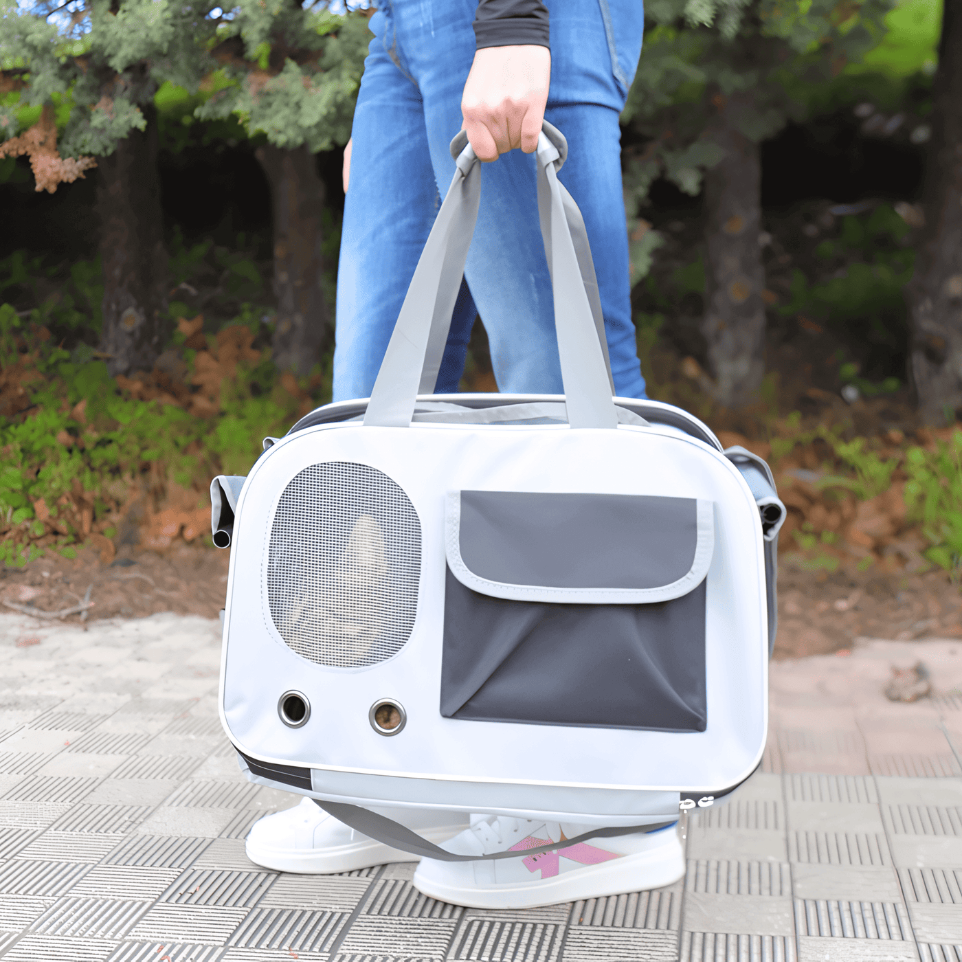 Cat Carrier