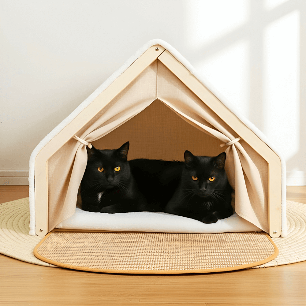 Cat Tent Bed