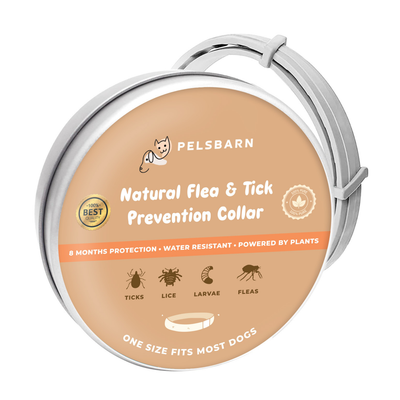 Natural Flea & Tick Prevention Collar