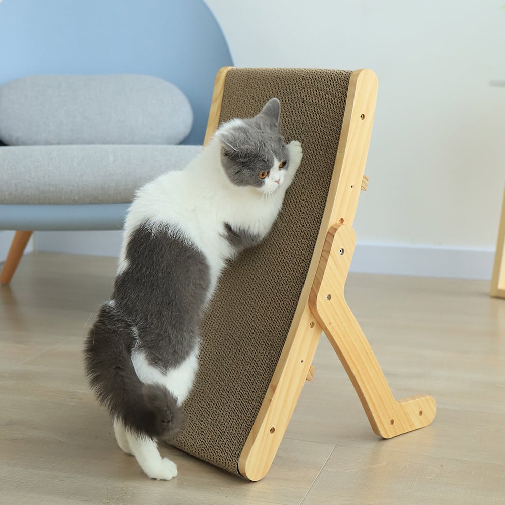 Cat Scratcher and Bed