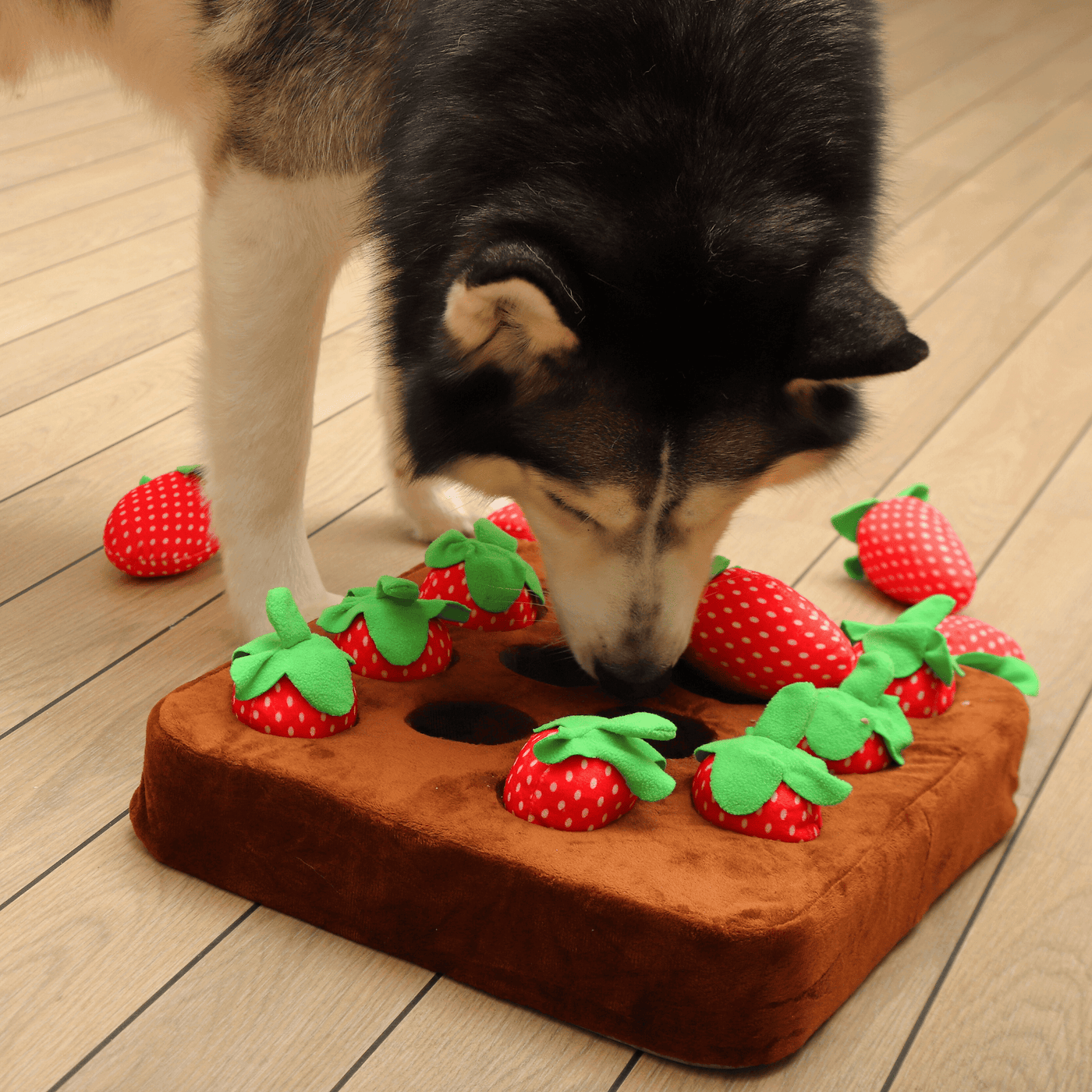 Strawberry Garden Snuffle Mat
