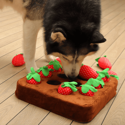Strawberry Garden Snuffle Mat