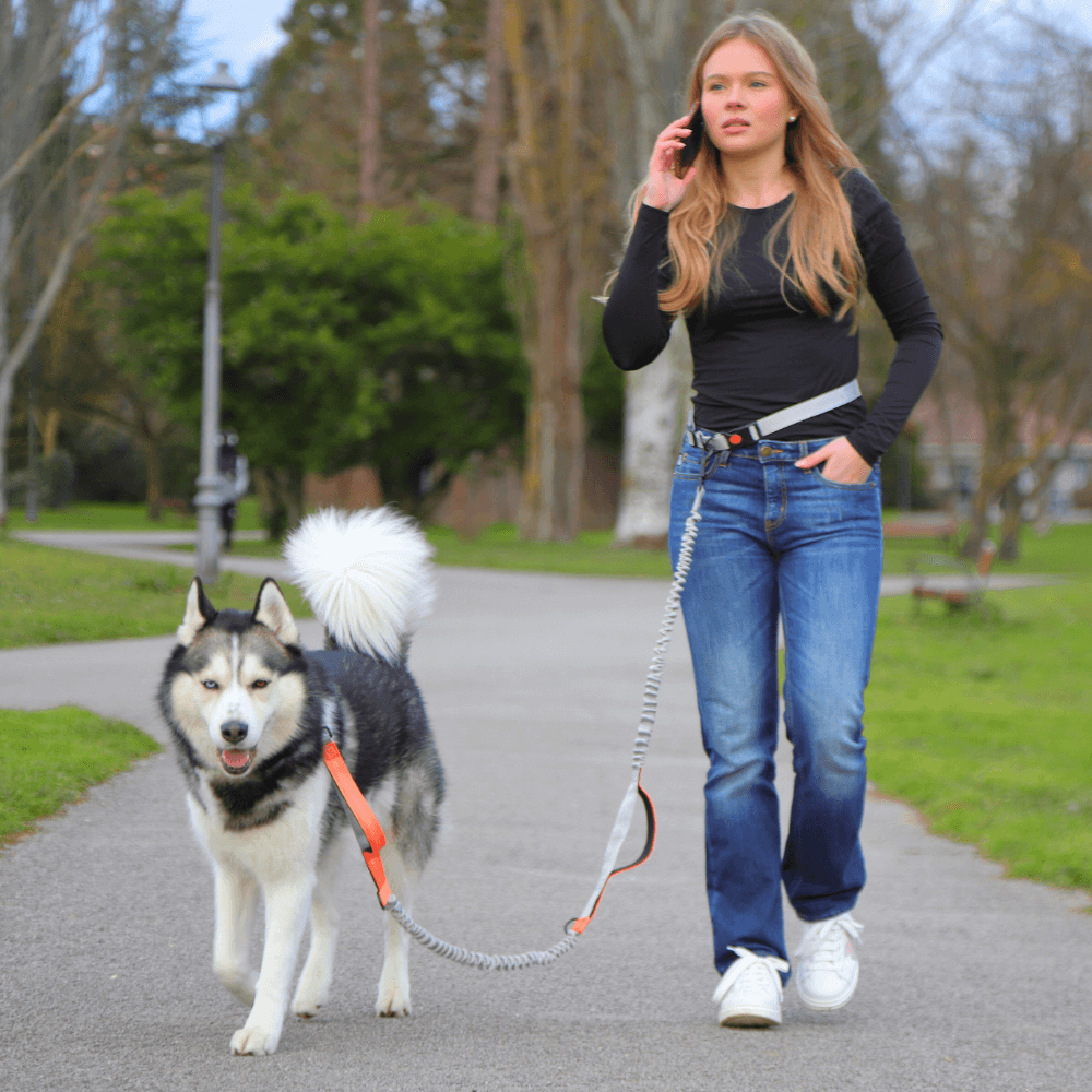 Hands Free Dog Leash