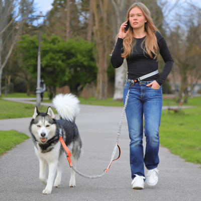 Hands Free Dog Leash