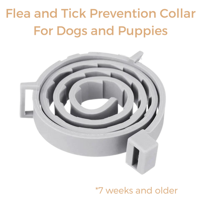 Anti Tick & Flea Collar