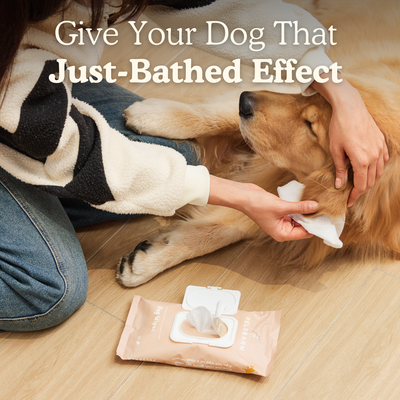 Dog Wipes for clean paws