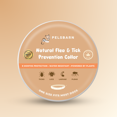 Natural Flea & Tick Prevention Collar