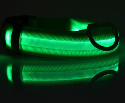 LED Light-Up Dog Safety Collar