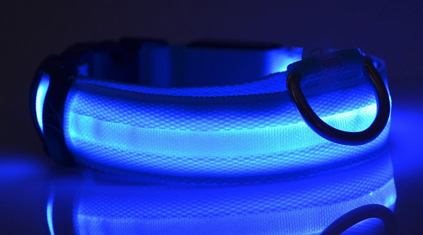 LED Light-Up Dog Safety Collar