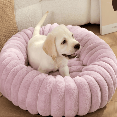 Doughnut Dog Bed