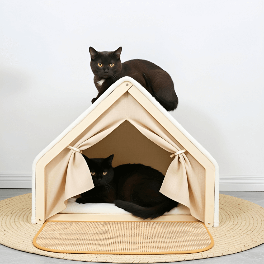 Cat Tent Bed