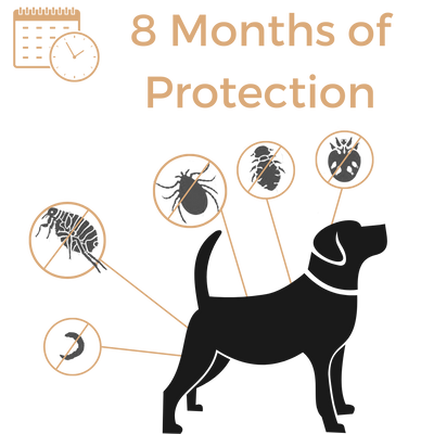 Anti Tick & Flea Collar