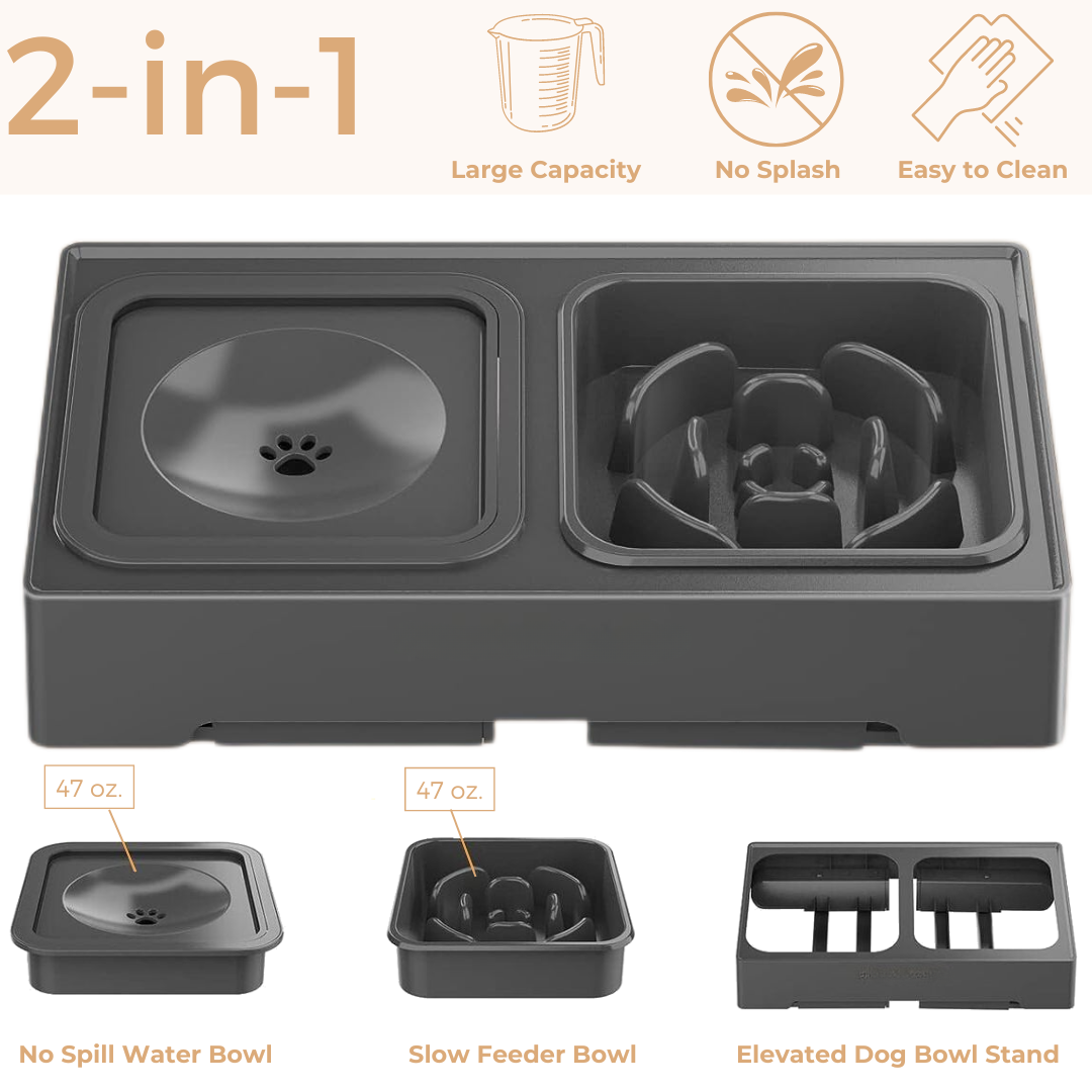 Elevated Slow Feeder with No Spill Dog Water Bowl