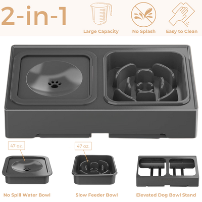Elevated Slow Feeder with No Spill Dog Water Bowl