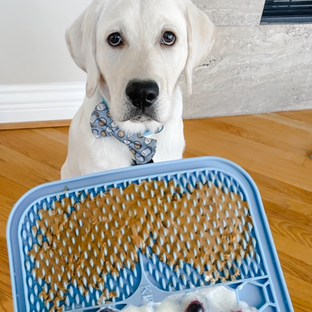 Soothing Lick Mat (vet recommended)