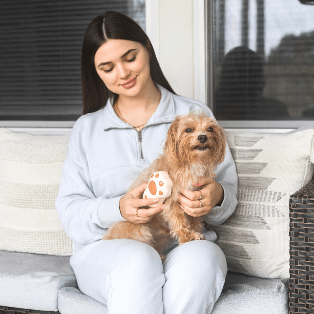 Pet Steam Brush