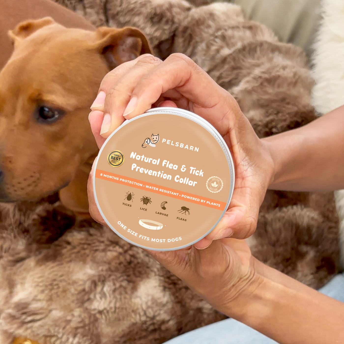 Natural Flea & Tick Prevention Collar