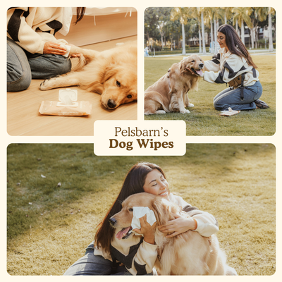 Dog Wipes for clean paws