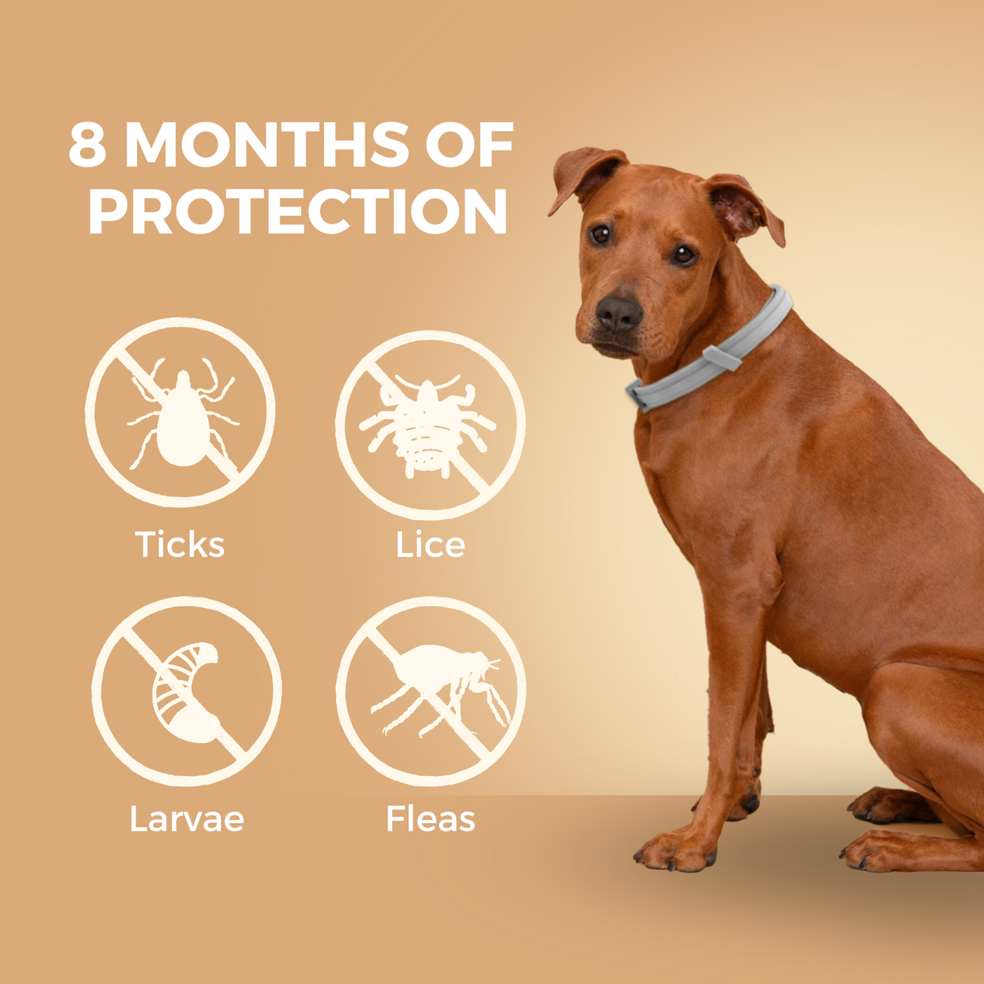 Natural Flea & Tick Prevention Collar