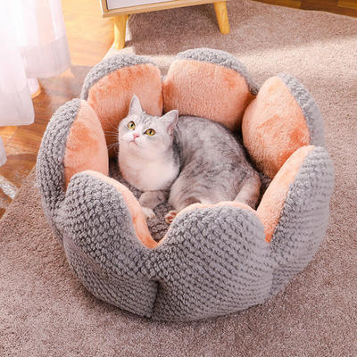 Cactus Bed