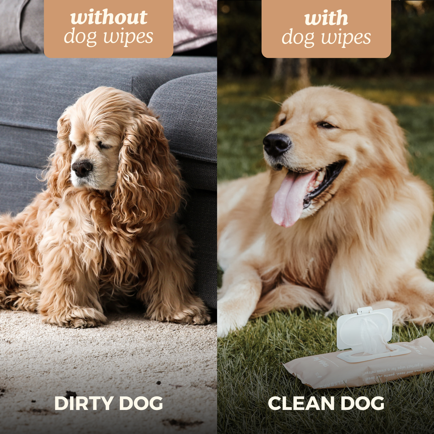 Dog Wipes for clean paws
