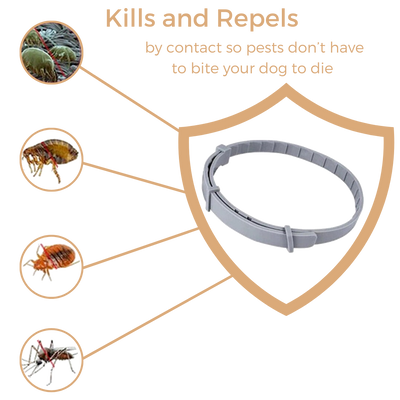 Anti Tick & Flea Collar