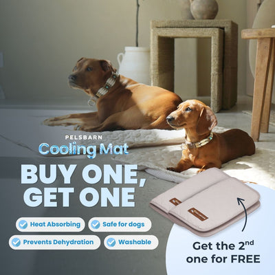 Pelsbarn Cooling Mat Bundle (B3G3)