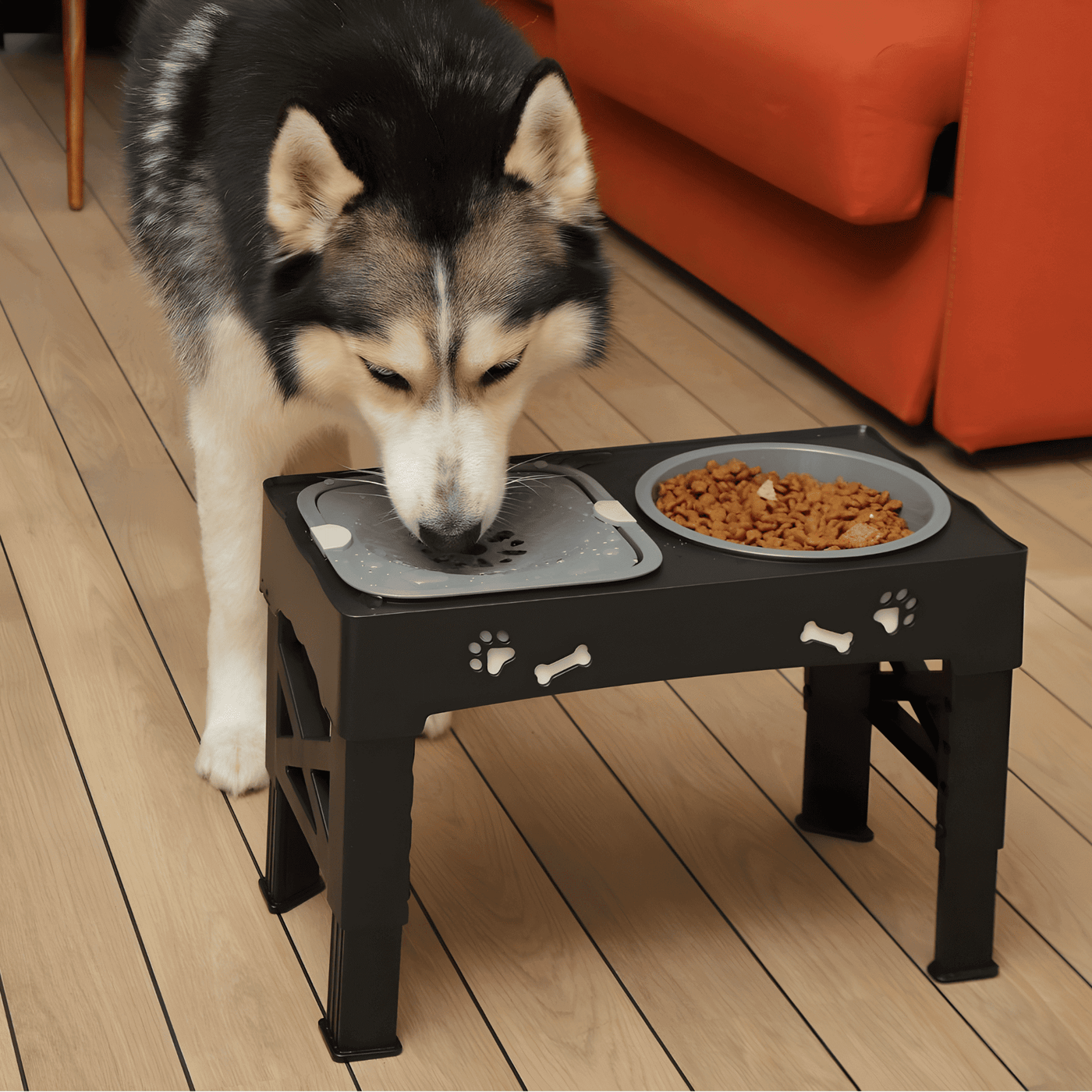 Elevated Dog Bowls