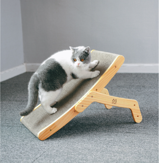 Cat Scratcher and Bed