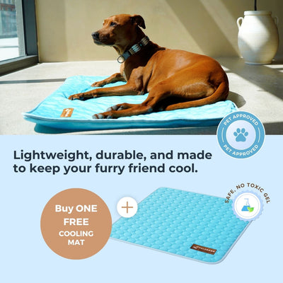 Pelsbarn Cooling Mat Bundle (B3G3)