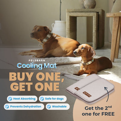Pelsbarn Cooling Mat (1+1)