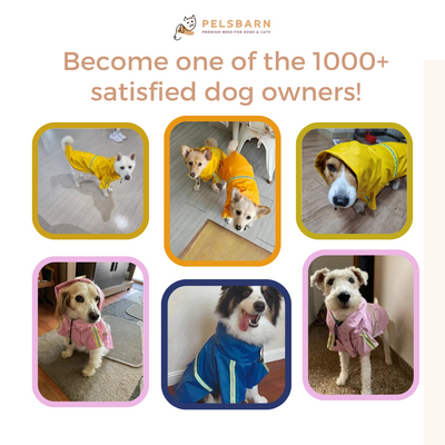 Pelsbarn Dog Raincoat