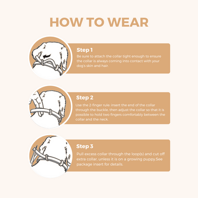 Natural Flea & Tick Prevention Collar