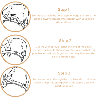 Anti Tick & Flea Collar