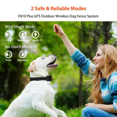 PetHey GPS Wireless Dog Fence F810