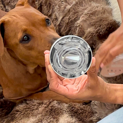 Natural Flea & Tick Prevention Collar